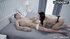 Shaved pussy small tits teen (18+) fucked rough by boyfriend
