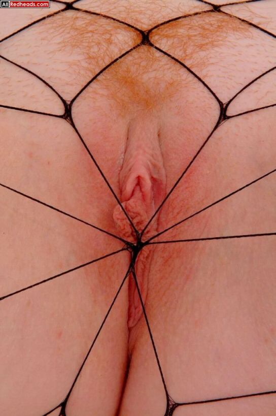 Sexy redhead. 16 Different Flaming Red Puss - XXX Dessert - Picture 5