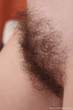 Hairy porn. Like moist & tender pussy li - Picture 10