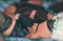 Gay xxx. Lots of satin knickers cover big cocks in this cross dressing